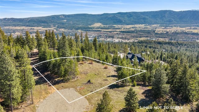 Property photo for 81 Forest Ridge (lot 81) Drive, Cle Elum photo 5