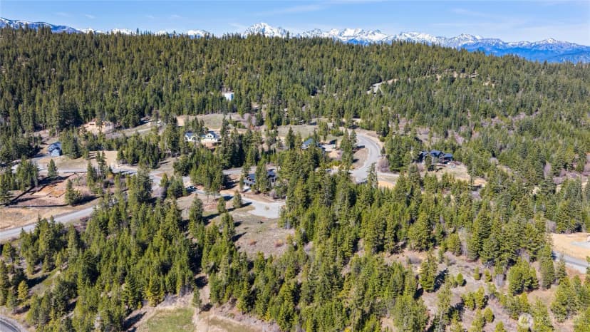 Property photo for 81 Forest Ridge (lot 81) Drive, Cle Elum photo 19