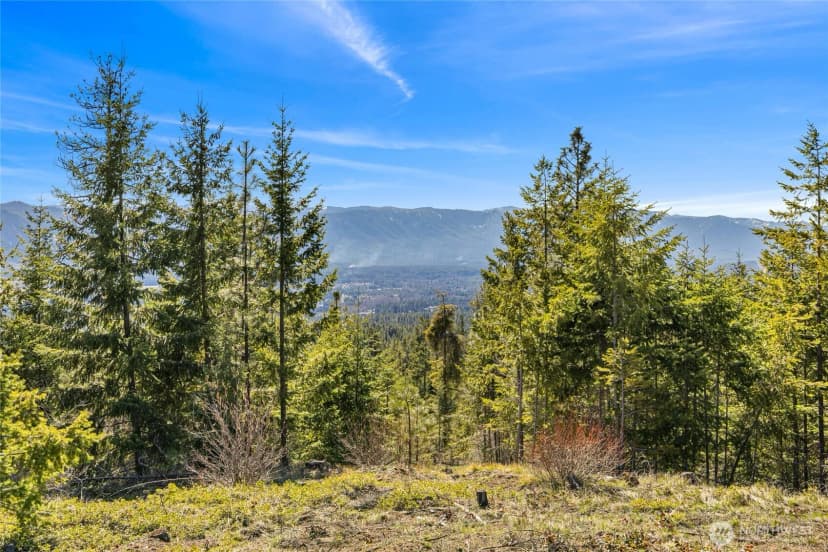 Property photo for 81 Forest Ridge (lot 81) Drive, Cle Elum photo 4