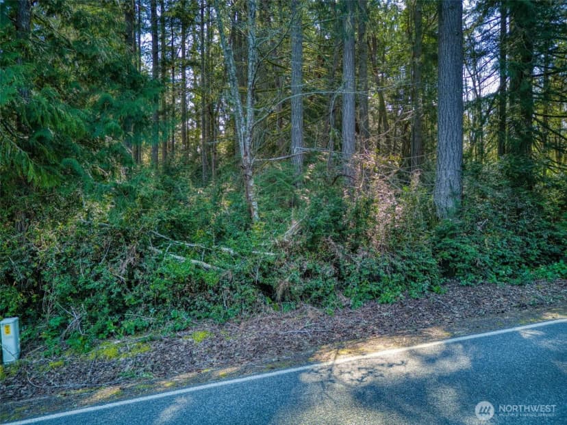 Property photo for 0 Whiteman Road Sw, Lakebay photo 8