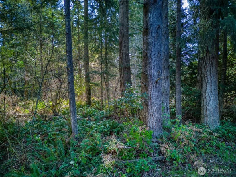 Property photo for 0 Whiteman Road Sw, Lakebay photo 13