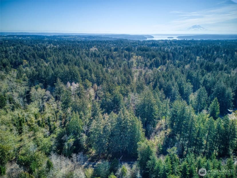 Property photo for 0 Whiteman Road Sw, Lakebay photo 10