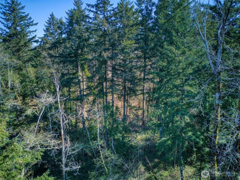 Property photo for 0 Whiteman Road Sw, Lakebay photo 12