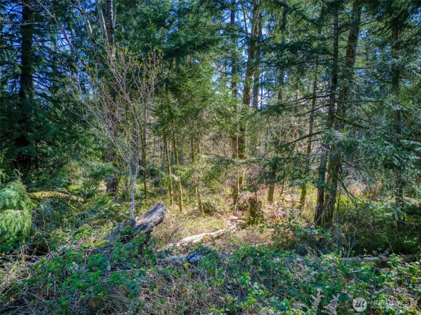 Property photo for 0 Whiteman Road Sw, Lakebay photo 14