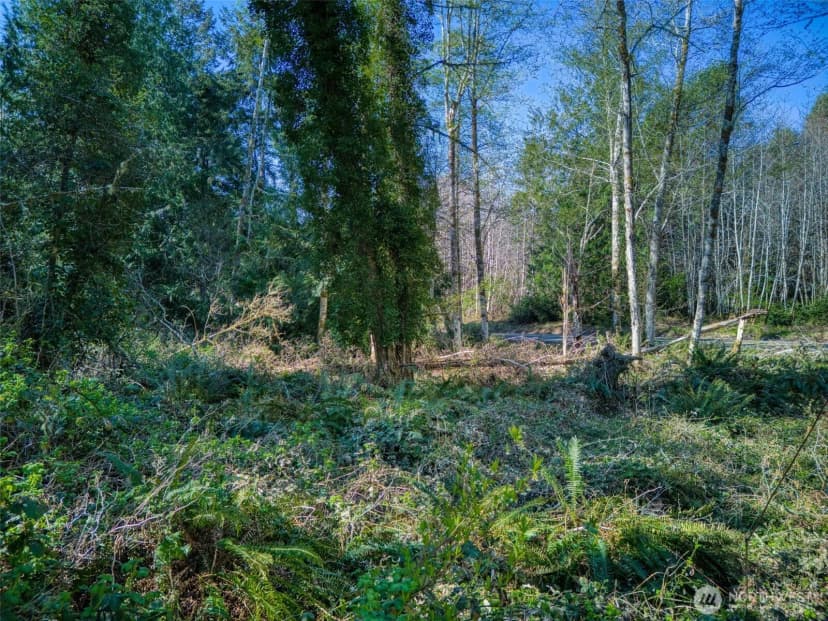 Property photo for 0 Whiteman Road Sw, Lakebay photo 9