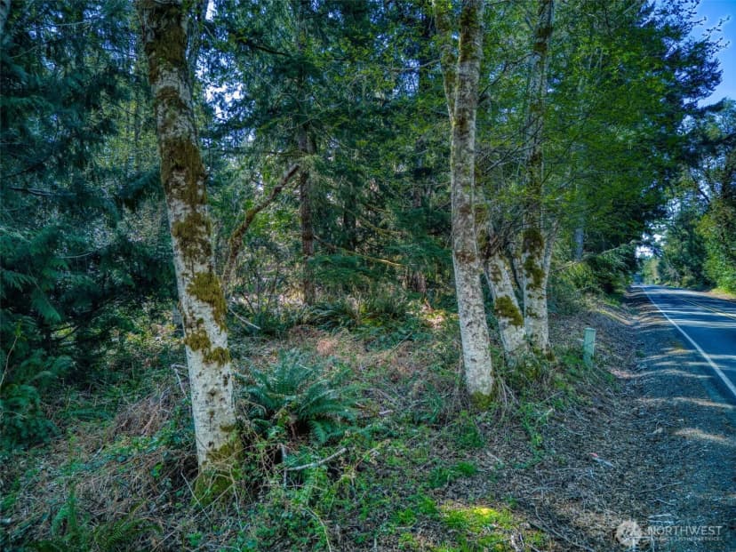Property photo for 0 Whiteman Road Sw, Lakebay photo 7