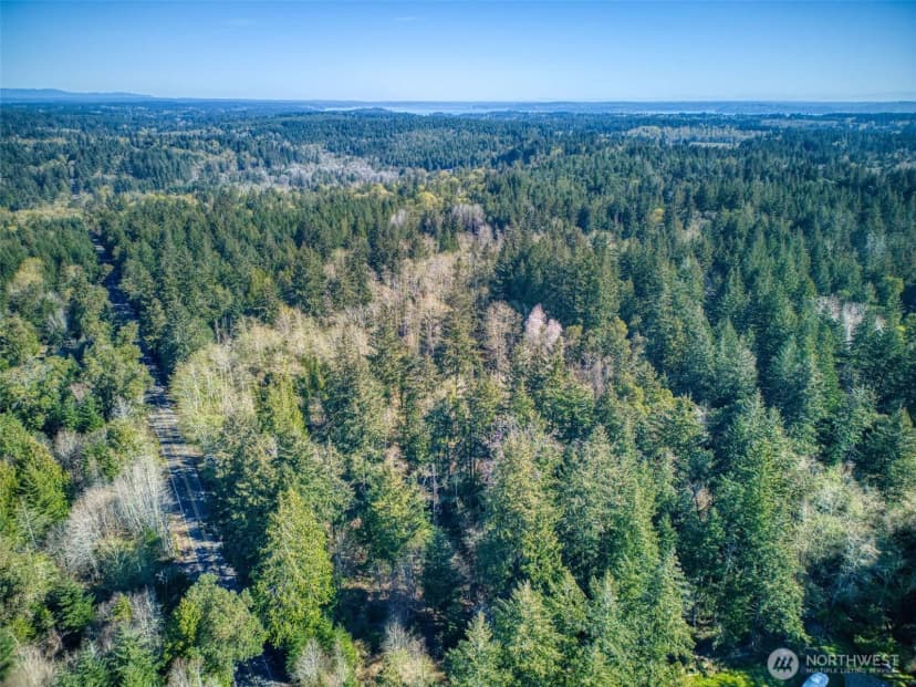 Property photo for 0 Whiteman Road Sw, Lakebay photo 15