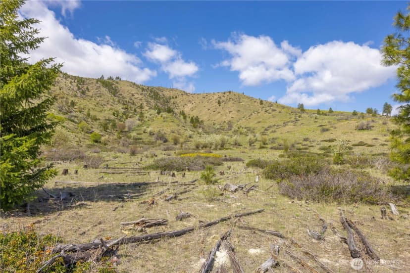 Property photo for 1 Bear Mountain Road, Chelan photo 13