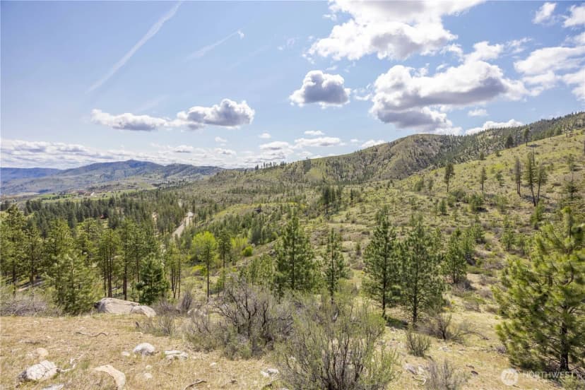 Property photo for 1 Bear Mountain Road, Chelan photo 17