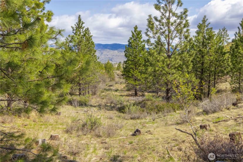 Property photo for 1 Bear Mountain Road, Chelan photo 12