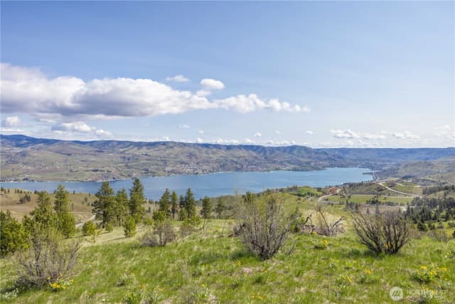 Property photo for 1 Bear Mountain Road, Chelan photo 5
