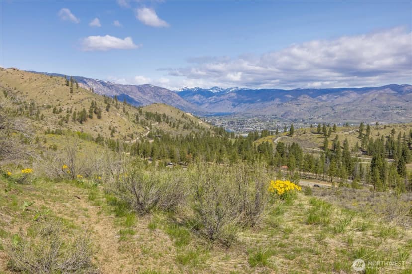 Property photo for 1 Bear Mountain Road, Chelan photo 9