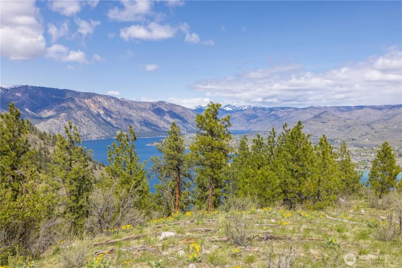 Property photo for 1 Bear Mountain Road, Chelan photo 25