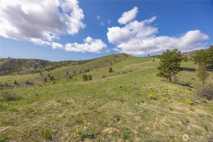 Property photo for 1 Bear Mountain Road, Chelan photo 11