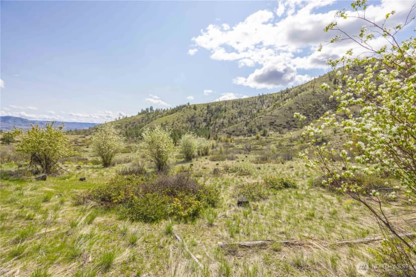 Property photo for 1 Bear Mountain Road, Chelan photo 14