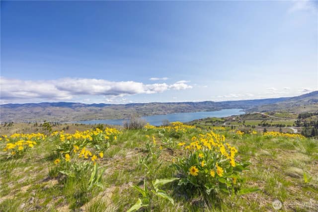 Property photo for 1 Bear Mountain Road, Chelan photo 2