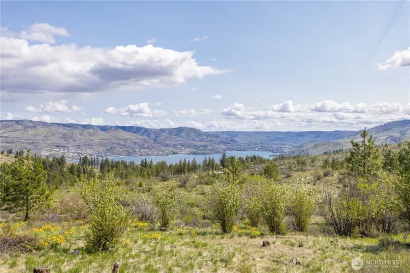 Property photo for 1 Bear Mountain Road, Chelan photo 15
