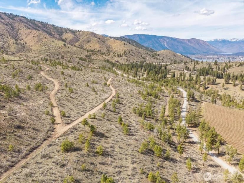 Property photo for 1 Bear Mountain Road, Chelan photo 31