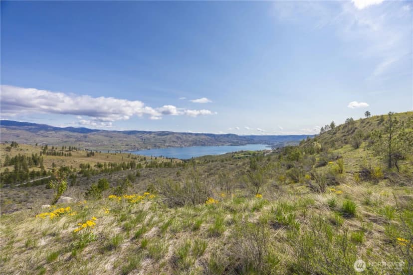 Property photo for 1 Bear Mountain Road, Chelan photo 8