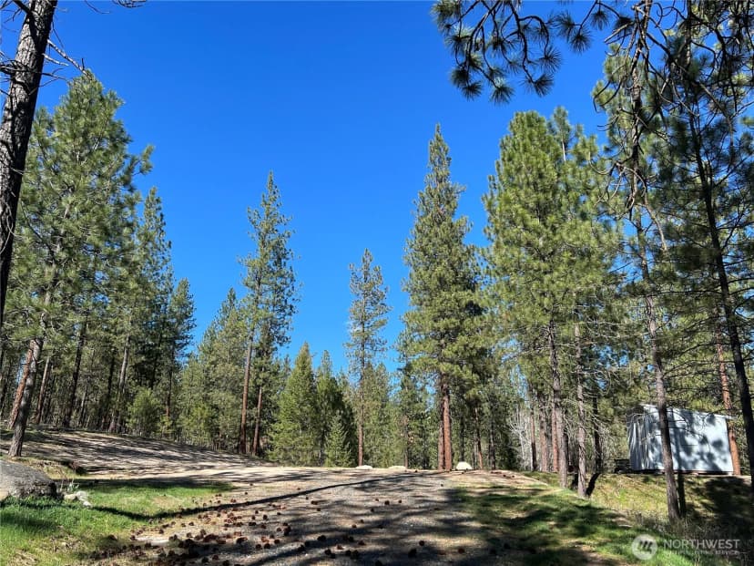 Property photo for 1069 B Kitt Narcisse Road, Colville photo 6