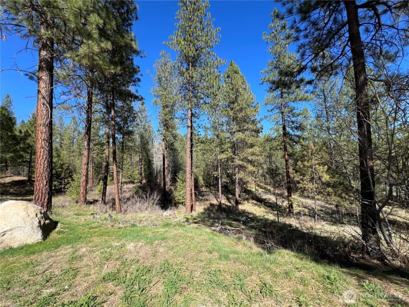 Property photo for 1069 B Kitt Narcisse Road, Colville photo 28