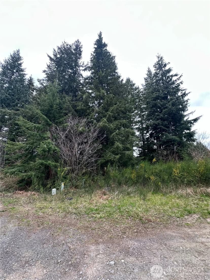 Property photo for 746 Trillium Avenue, Forks photo 6