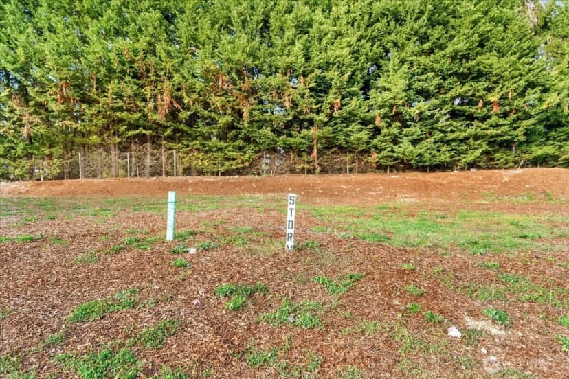 Property photo for 372 Xx 29th Avenue S #lot 1, Federal Way photo 8