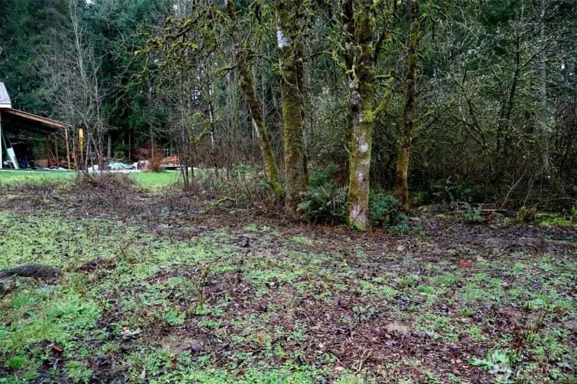 Property photo for 306 Minkler Rd, Winlock photo 24