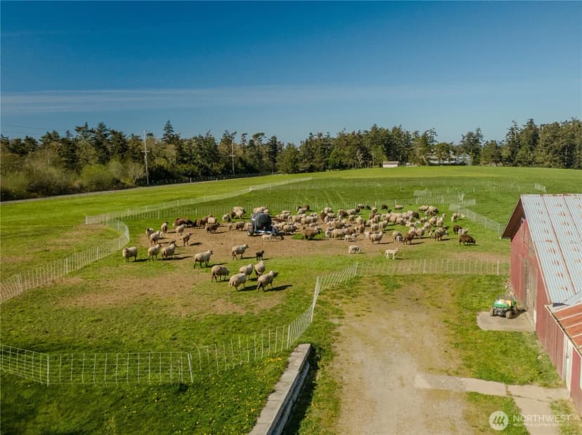 Property photo for 886 West Beach Road, Coupeville photo 17