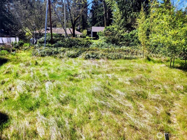 Property photo for 11744 35th Avenue Ne, Seattle photo 4
