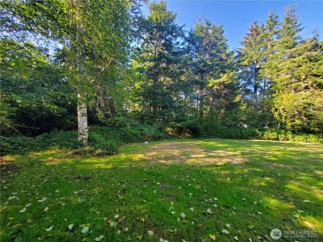 Property photo for 741 Chenois Avenue Ne, Ocean Shores photo 4