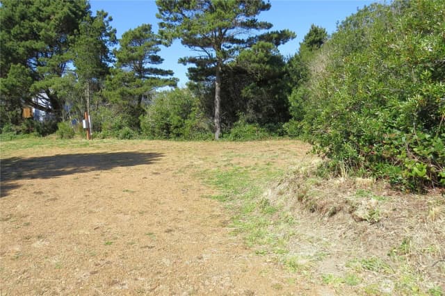 Property photo for 319 Sand Dune Avenue Nw, Ocean Shores photo 2
