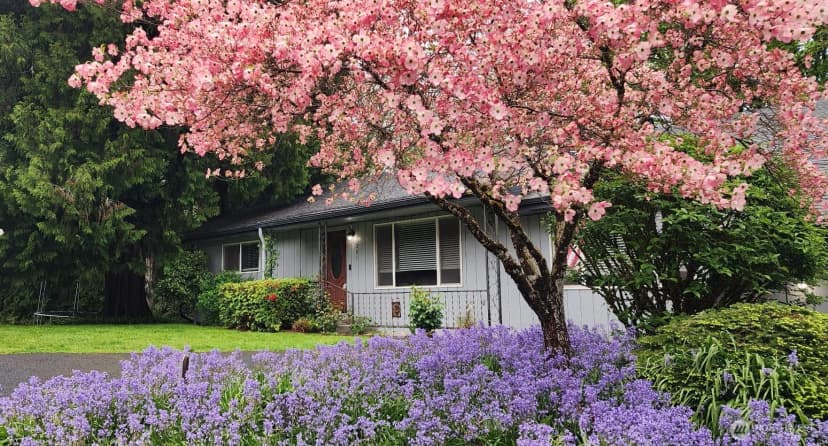 Property photo for 201 Englert, Woodland