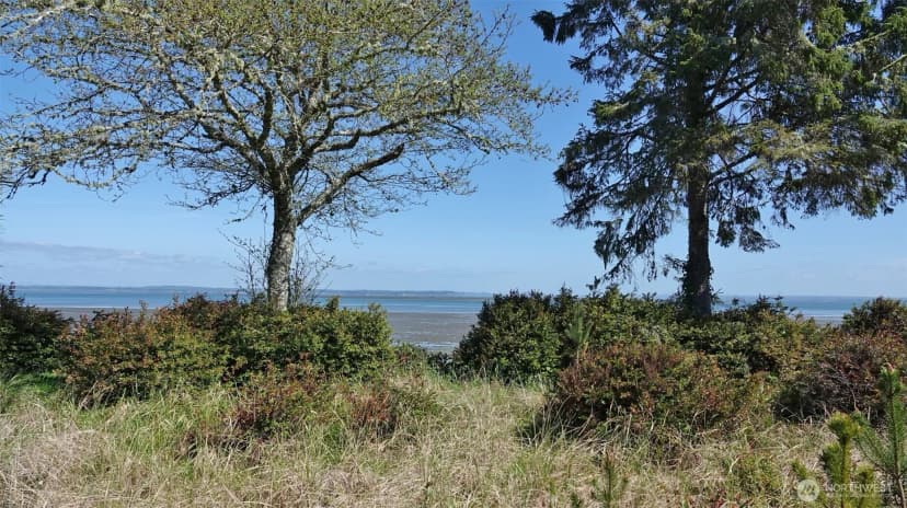 Property photo for 574 Chinook Avenue Se, Ocean Shores photo 4