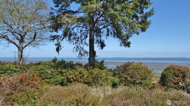 Property photo for 574 Chinook Avenue Se, Ocean Shores photo 5