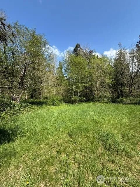Property photo for 15841 Bald Hill Road Se, Yelm photo 11