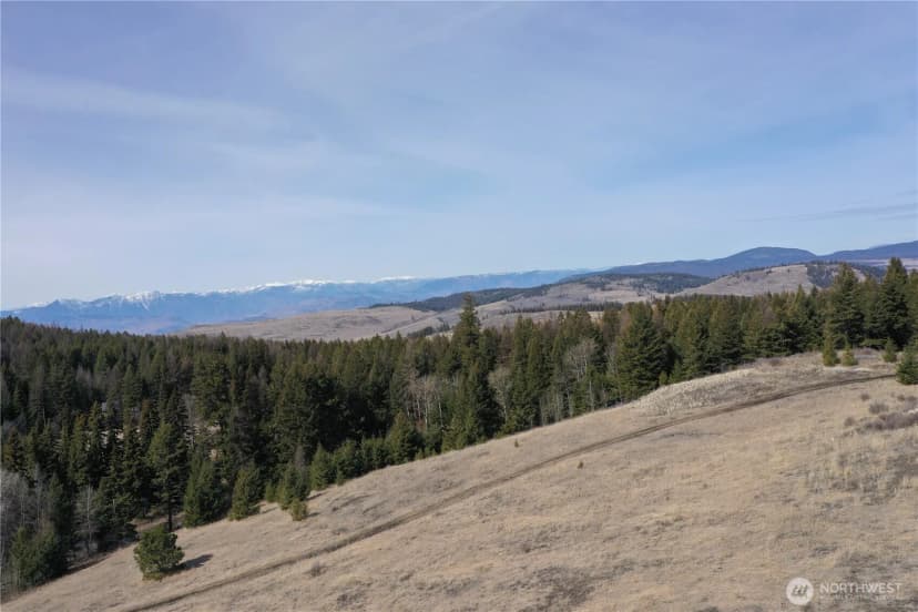 Property photo for 17 Teal Lake Road N, Oroville photo 35