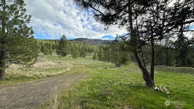 Property photo for 960 Forest Grove, Cle Elum photo 24