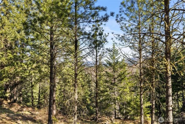 Property photo for 47 Gold Leaf Lane, Cle Elum photo 5