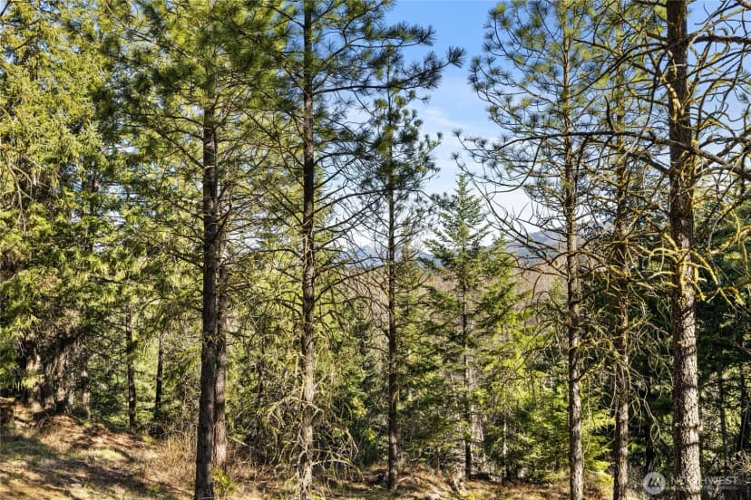 Property photo for 47 Gold Leaf Lane, Cle Elum photo 5