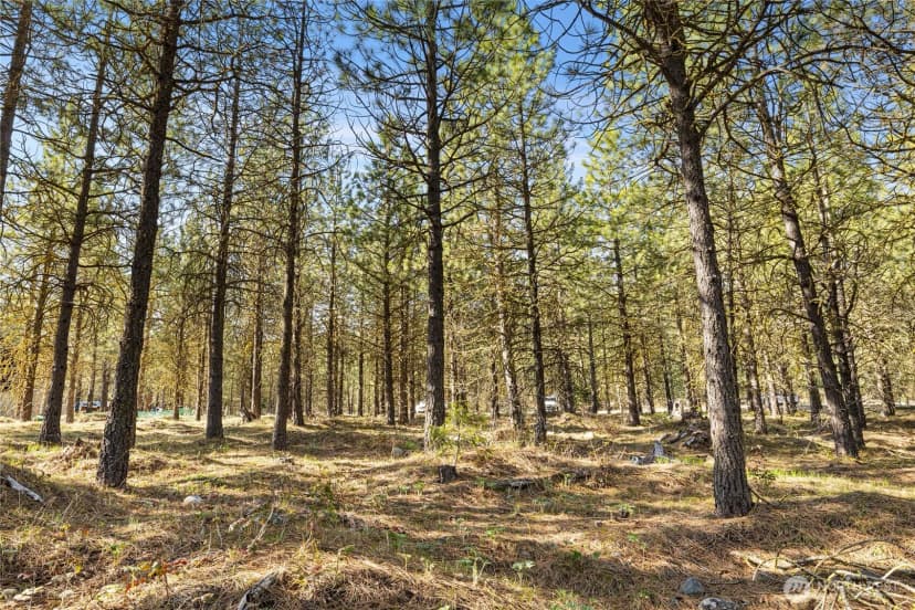 Property photo for 47 Gold Leaf Lane, Cle Elum photo 9