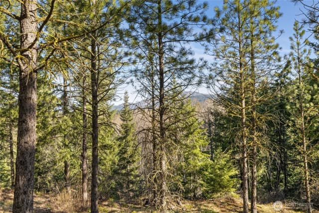 Property photo for 47 Gold Leaf Lane, Cle Elum photo 4