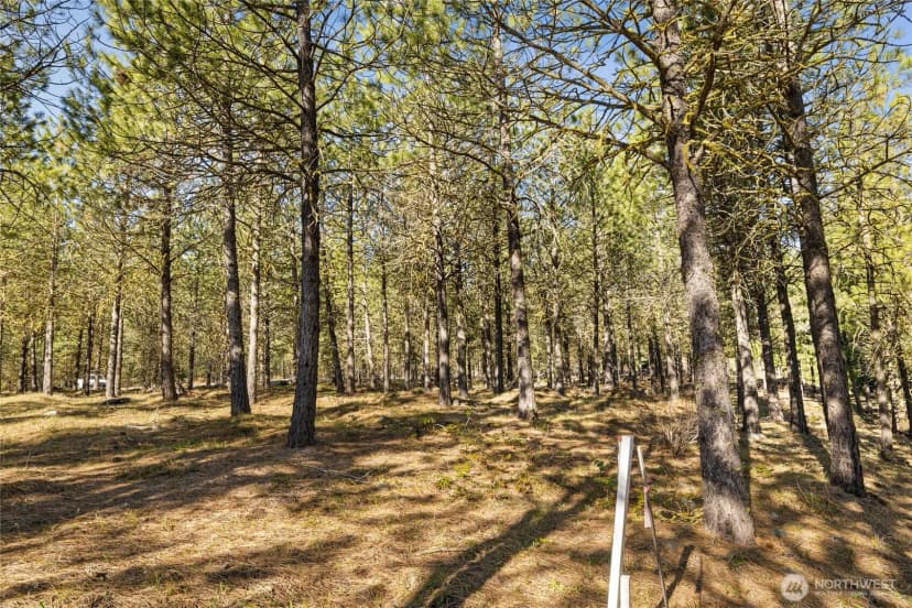 Property photo for 47 Gold Leaf Lane, Cle Elum photo 7