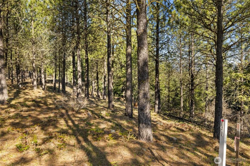 Property photo for 47 Gold Leaf Lane, Cle Elum photo 6