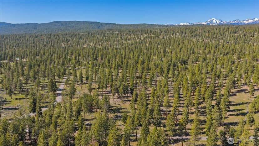 Property photo for 0 Xxx Flying M, Cle Elum photo 13