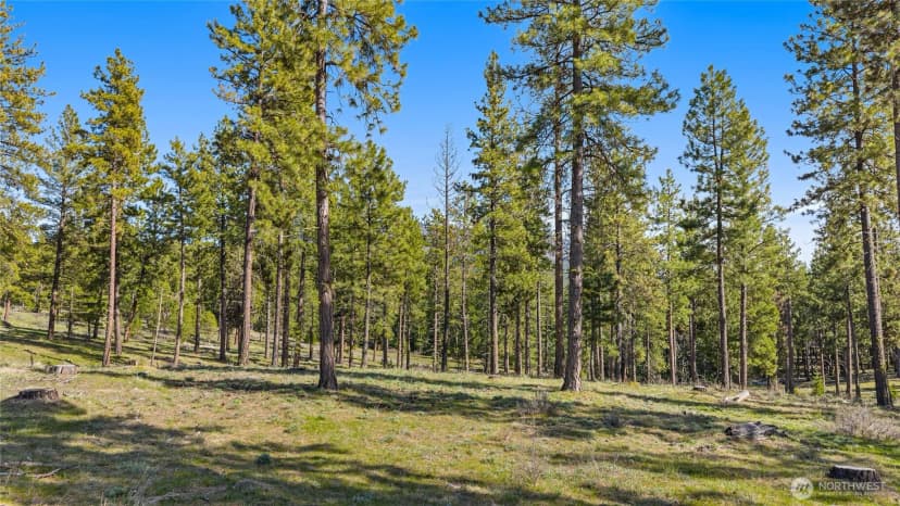 Property photo for 0 Xxx Flying M, Cle Elum