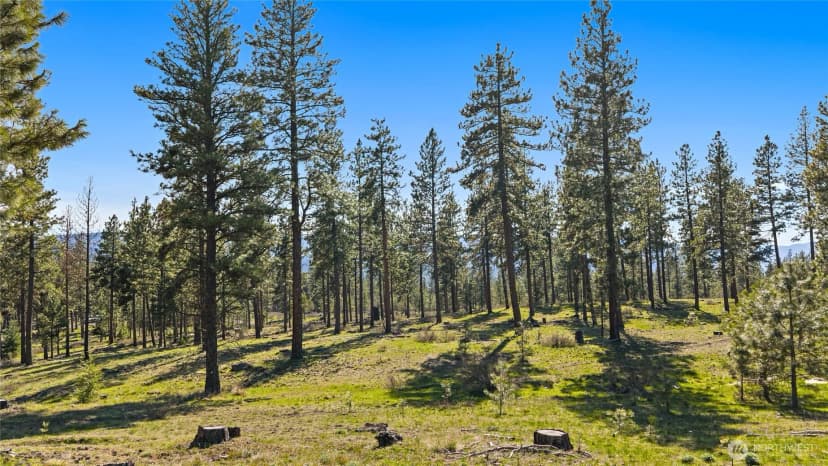 Property photo for 0 Xxx Flying M, Cle Elum photo 8