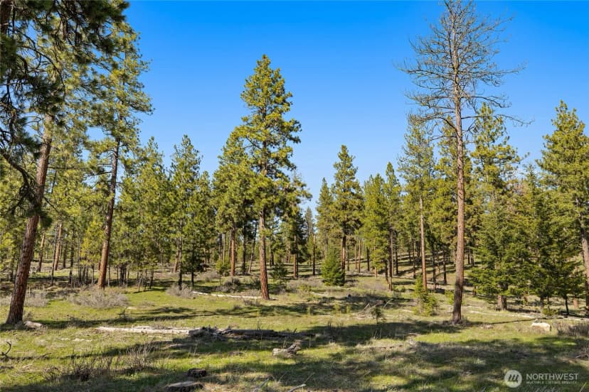 Property photo for 0 Xxx Flying M, Cle Elum photo 9