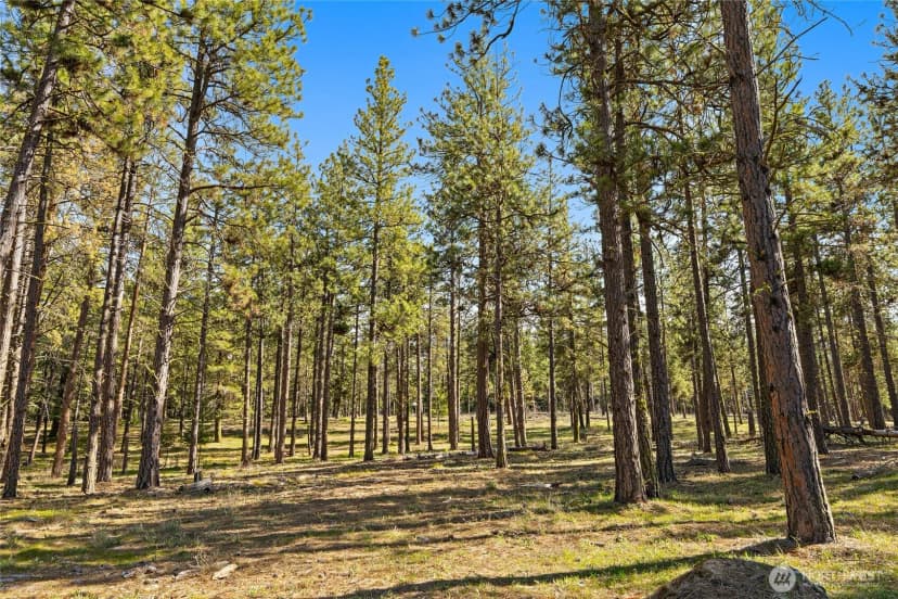 Property photo for 0 Xxx Flying M, Cle Elum photo 11