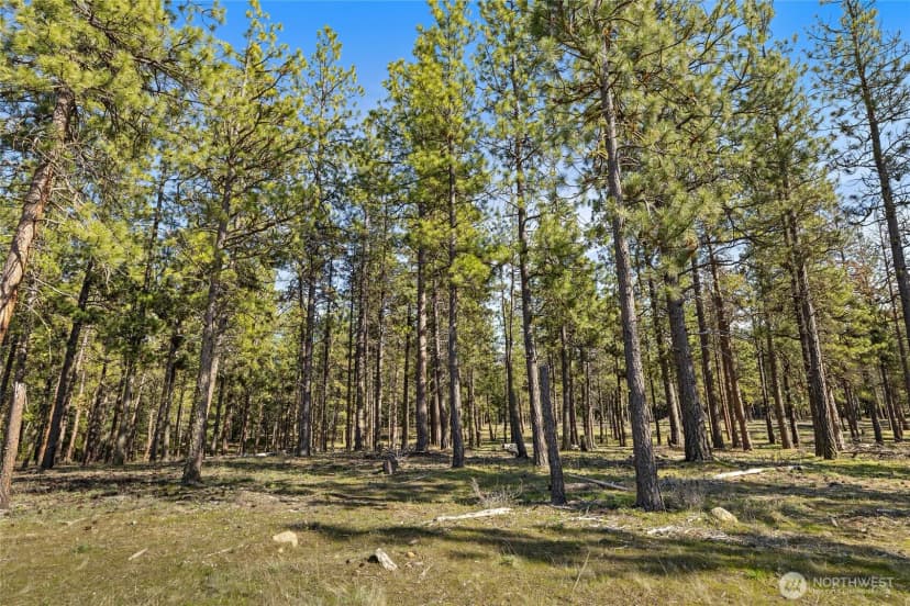 Property photo for 0 Xxx Flying M, Cle Elum photo 7